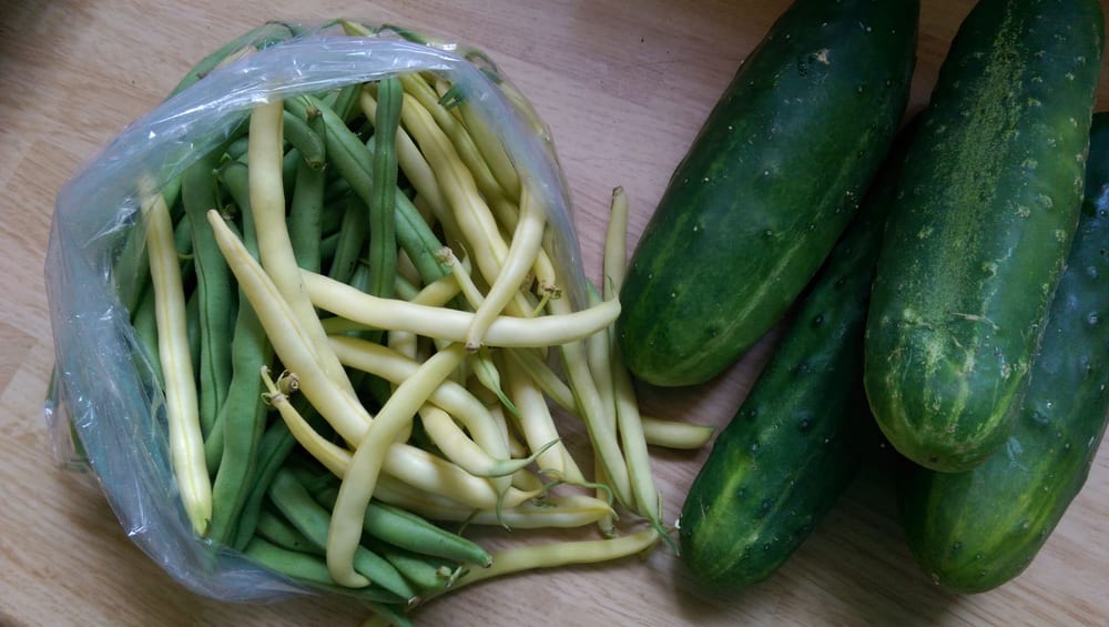 Vegetables at Dylamato's Market