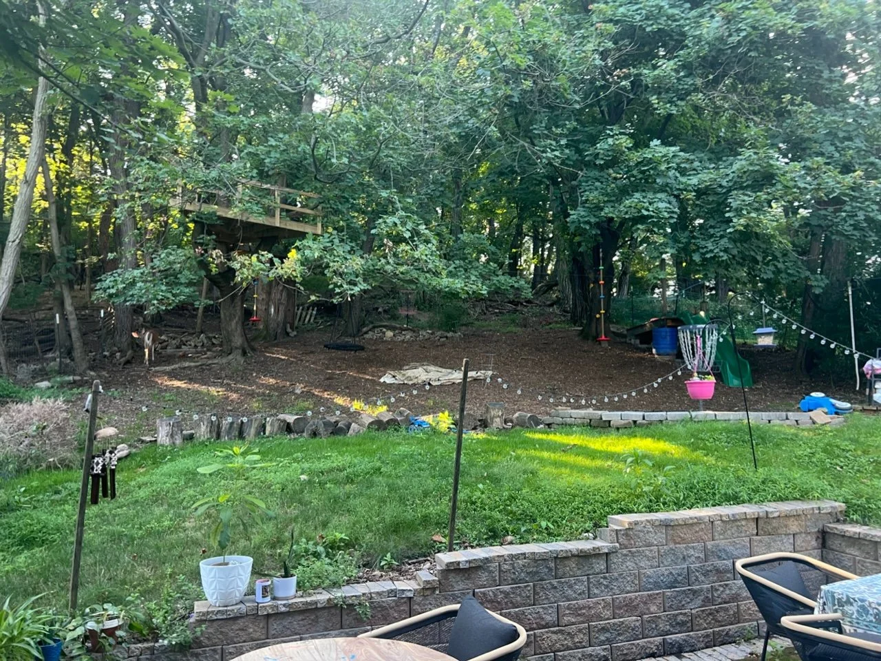 Developing An Eco-Friendly Yard