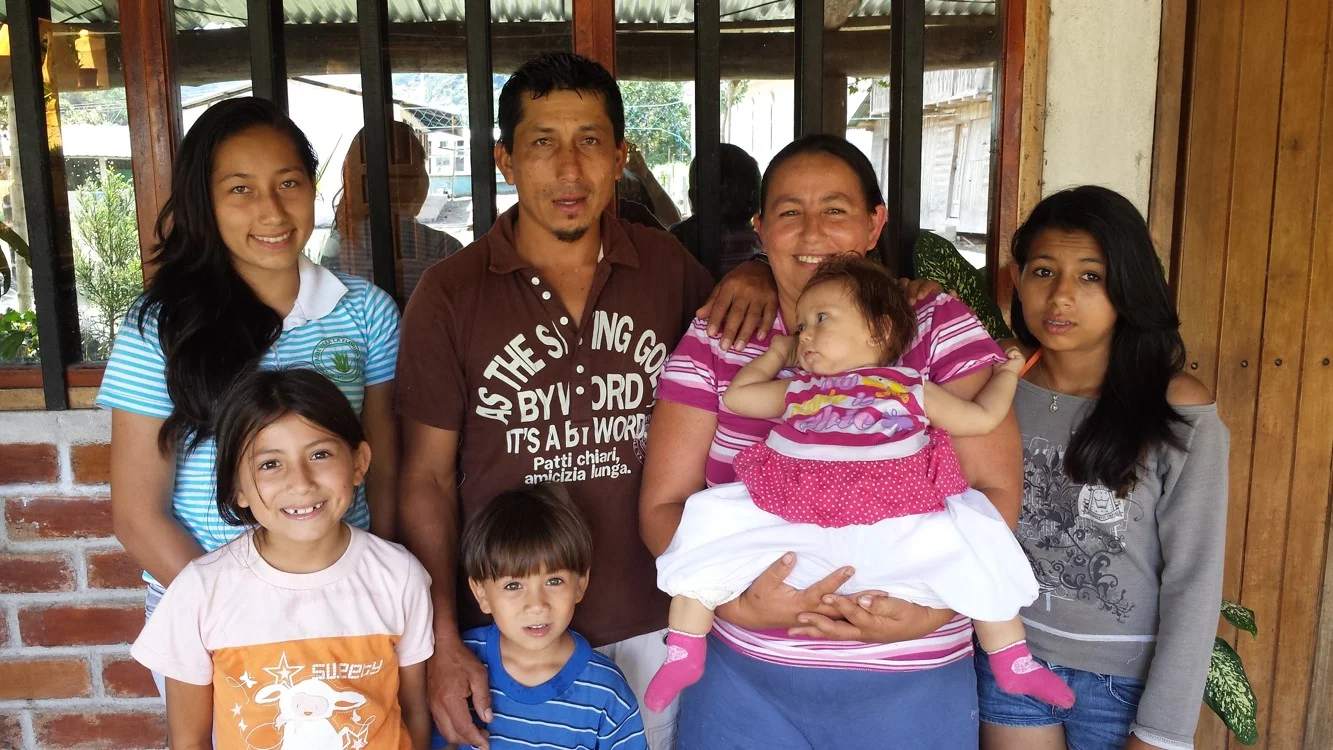 Medical Costs For Scarlet