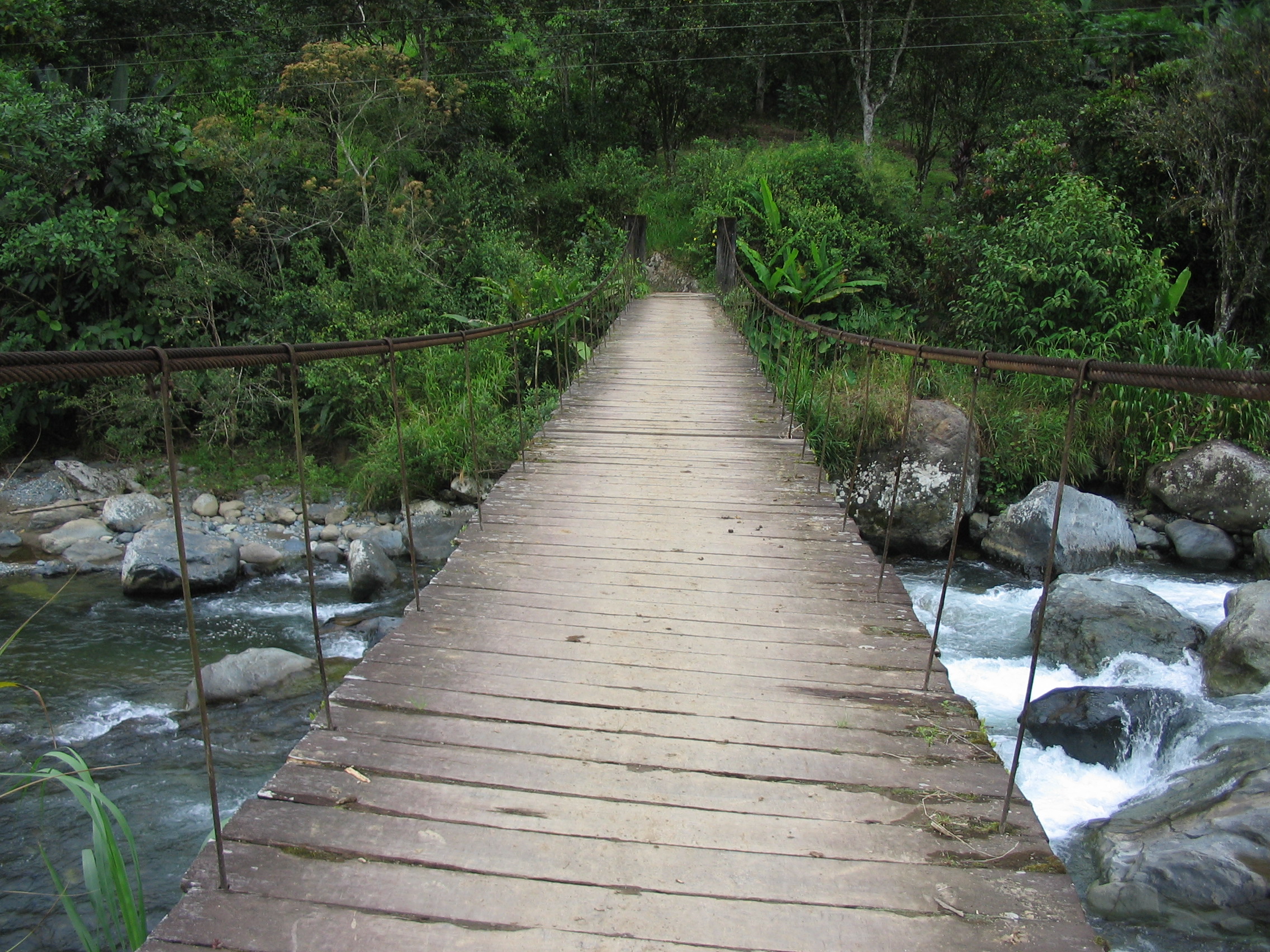 Crossing the Bridge