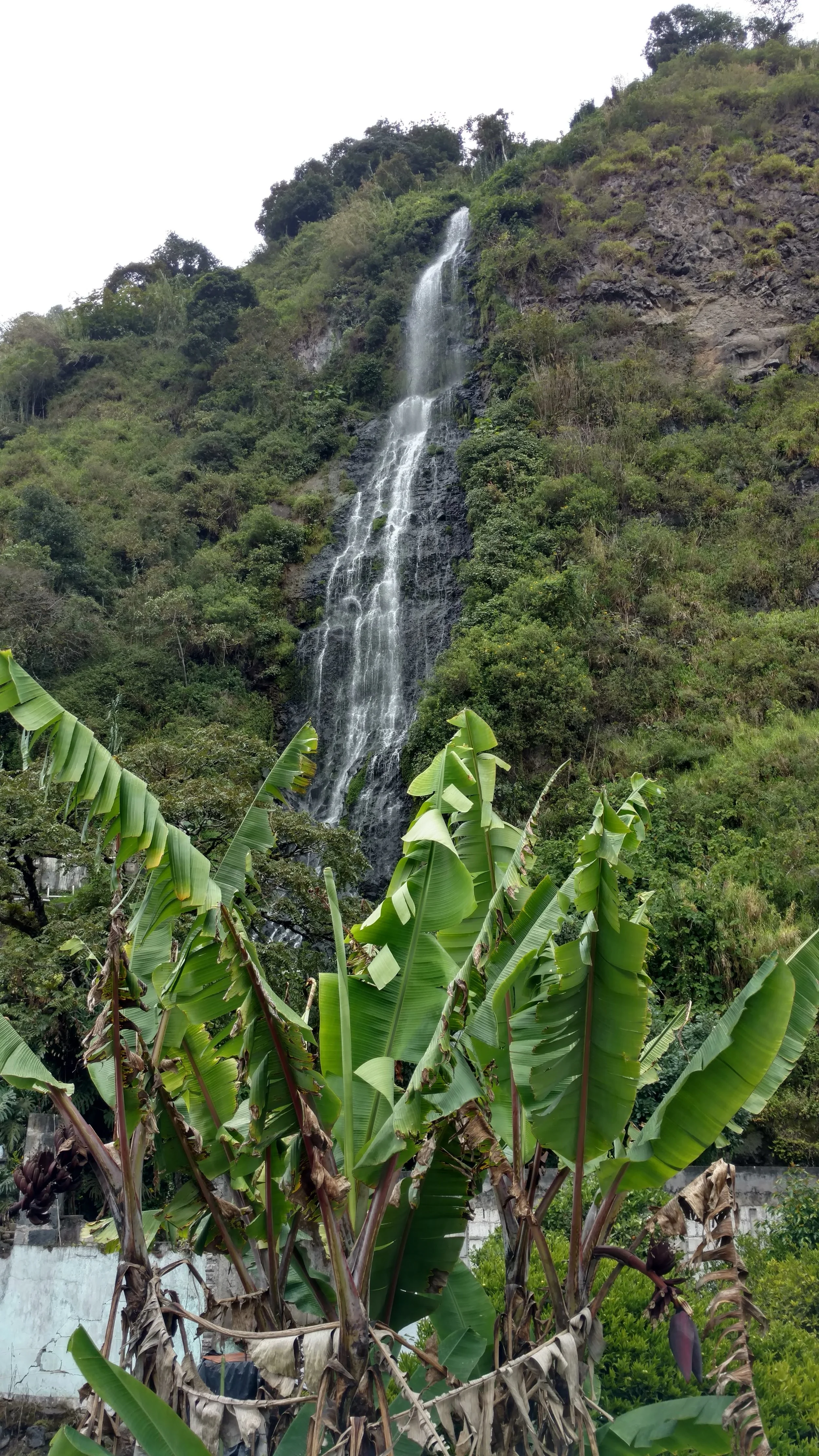 IMG_20180124_120139868_HDR.jpg