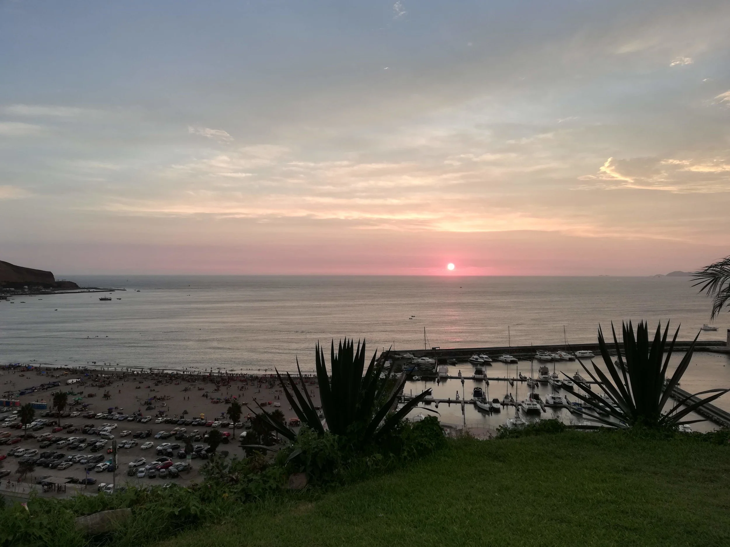 IMG_20190302_182507.jpg