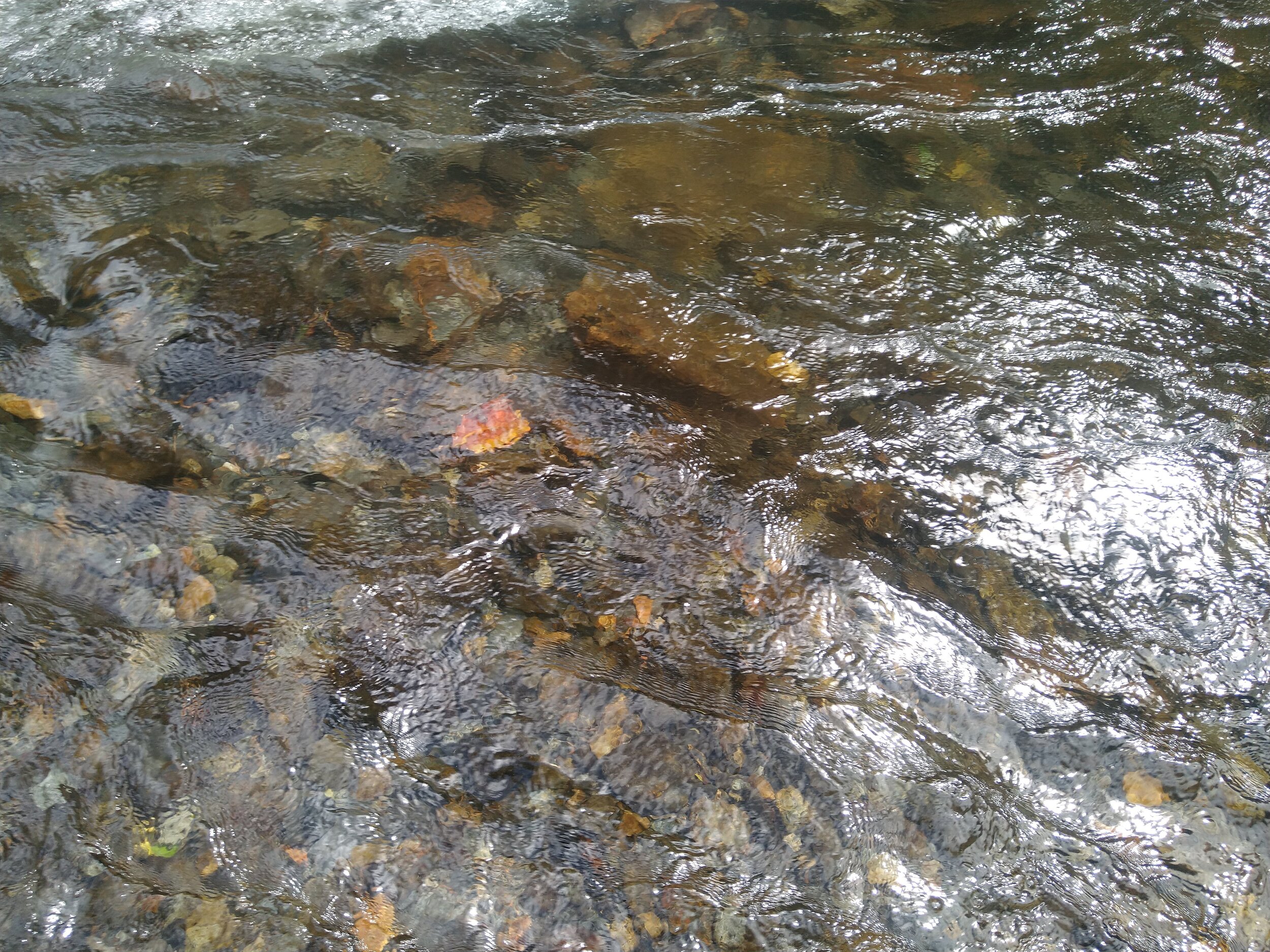 The crystal clear water of the Chontal River