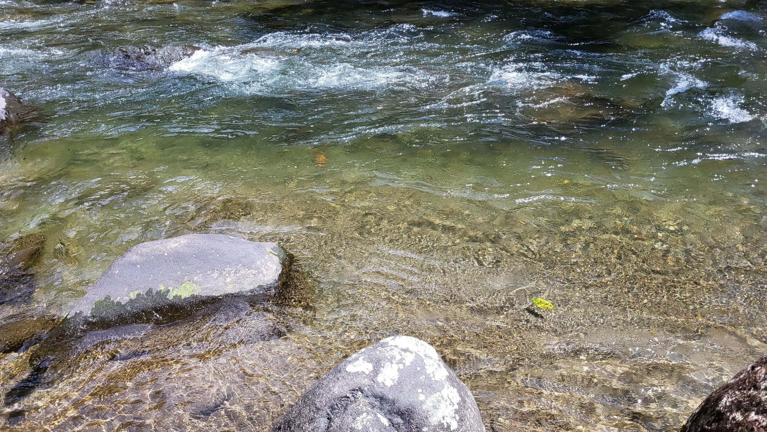 20250705_112402.jpg