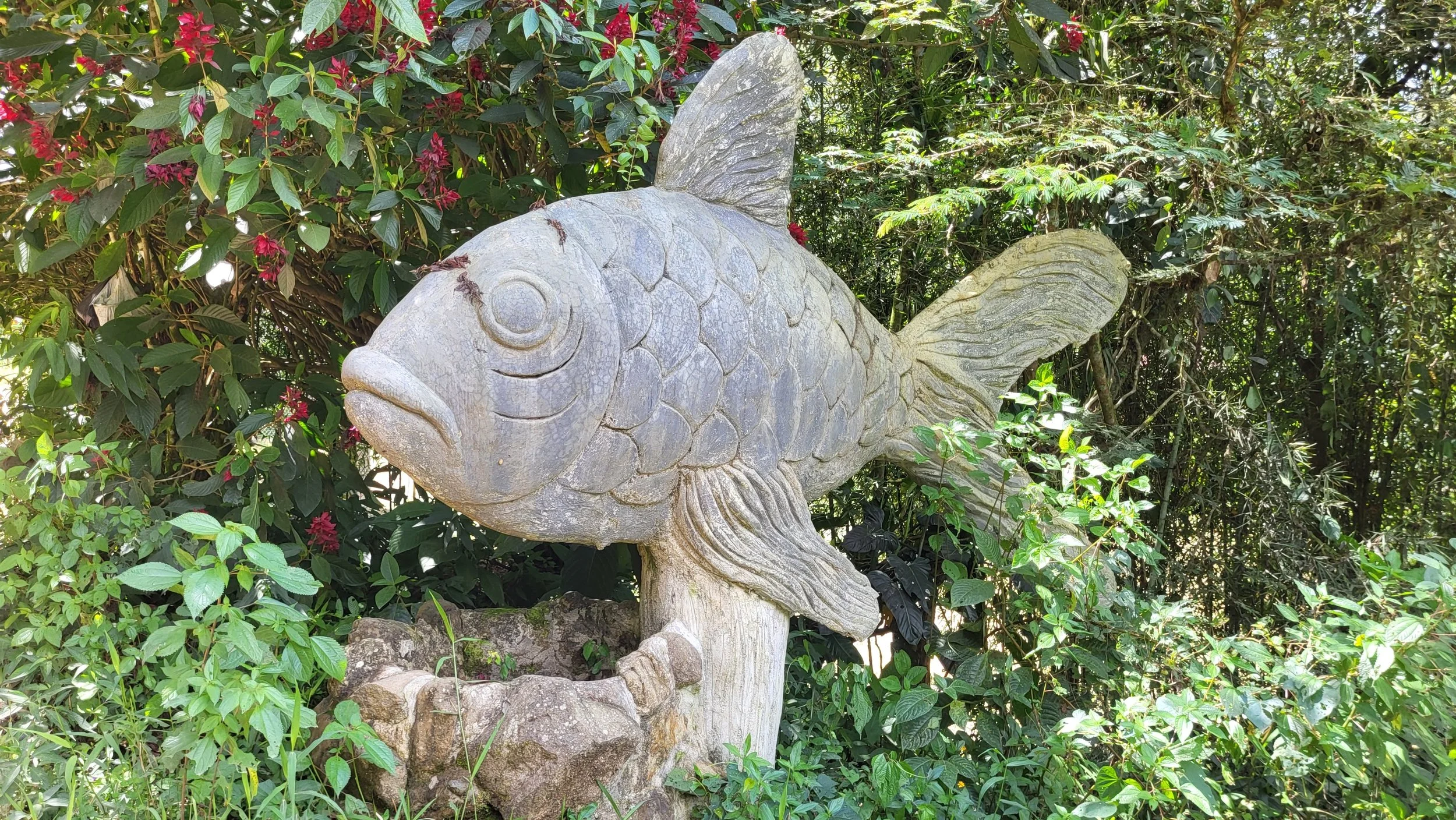 20250707_131029.jpg