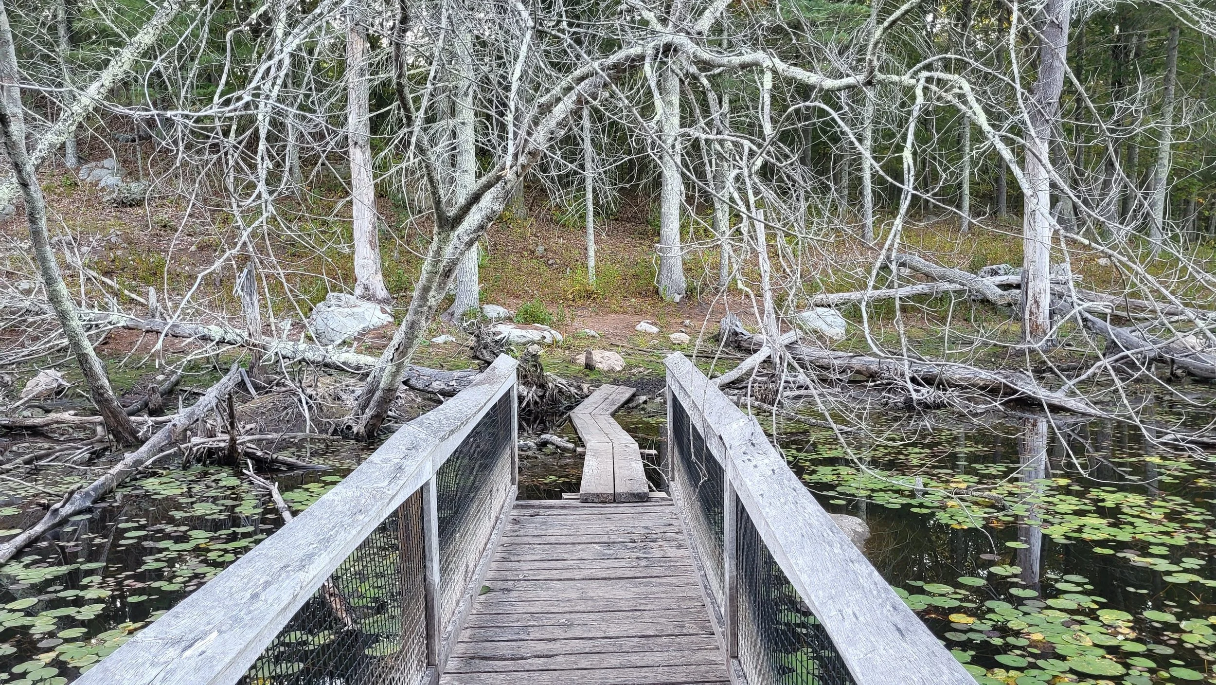 Renewing the Path
