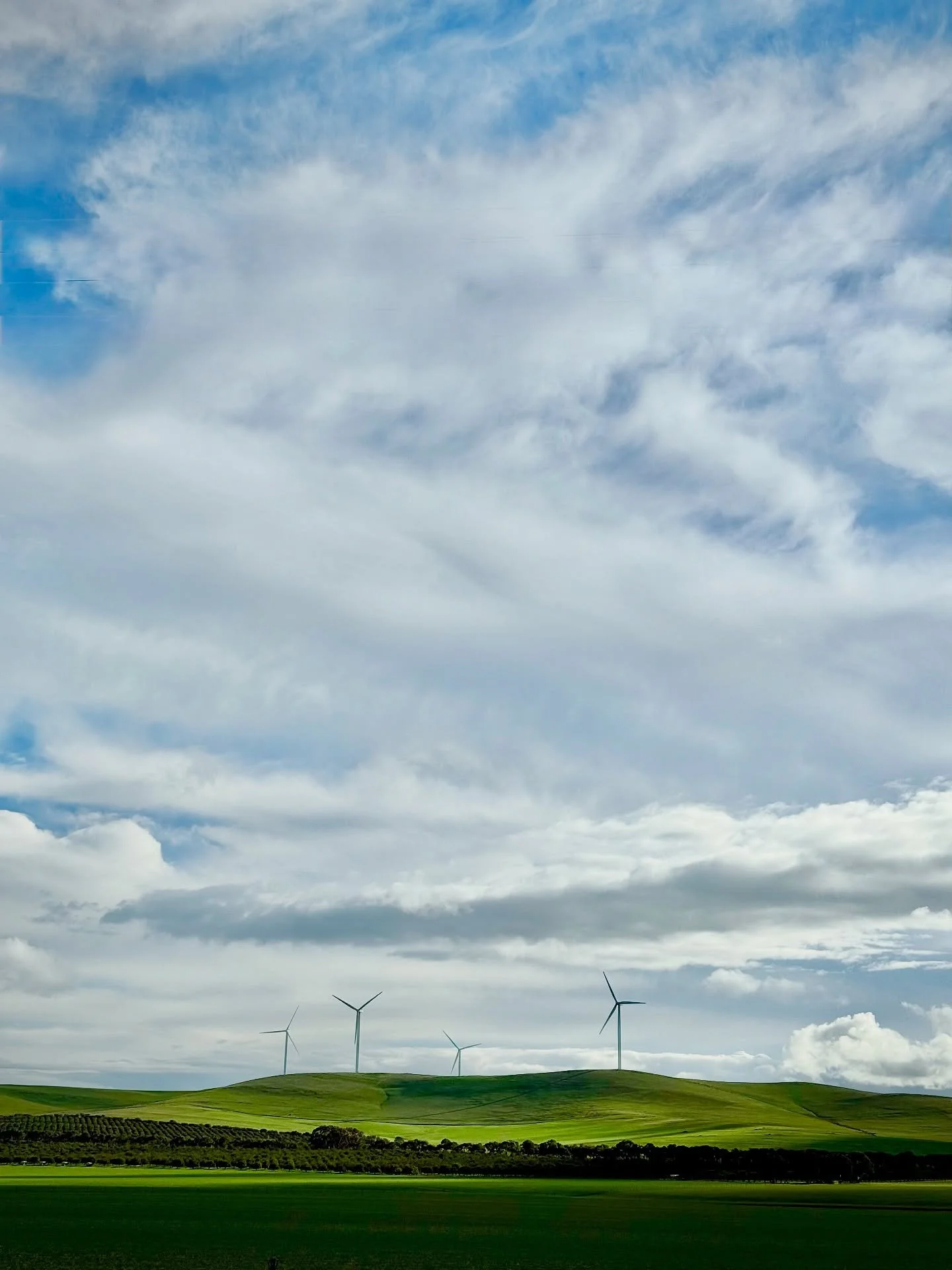 There&rsquo;s a lot of these in South Australia&hellip;
#blowininthewind #flindersranges #lightmoods #renewableenergy #windfarm #rurallife #outbacksa #australia