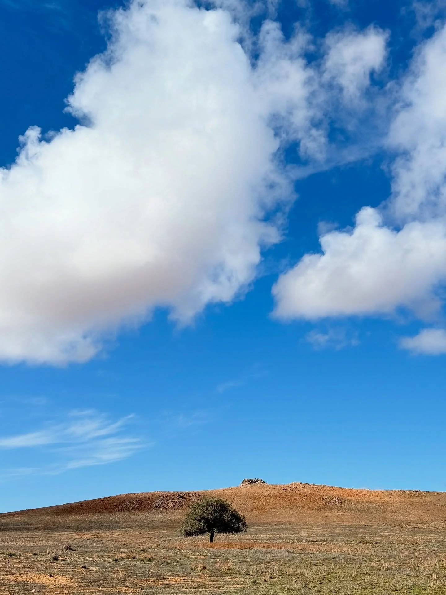 Love a tree on or near a hill!

#onetreehill #lightmoods #flindersranges #visitsouthaustralia #roadtrip #paulfoleyphotographs