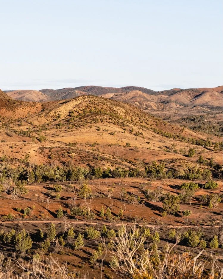 The wide brown land&hellip; @moolooloostation Flinders Ranges, South Australia.

#southaustralia #flindersrangesnationalpark #outback #panorama #landscapephotography #remoteliving #australia #lightmoods #paulfoleyphotographs