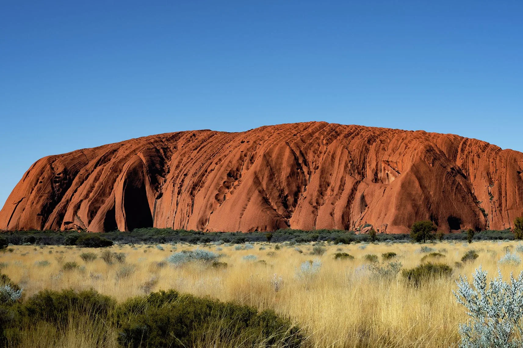 ULURU-CENTRAL-AUSTRALIA-7991-DET.jpg