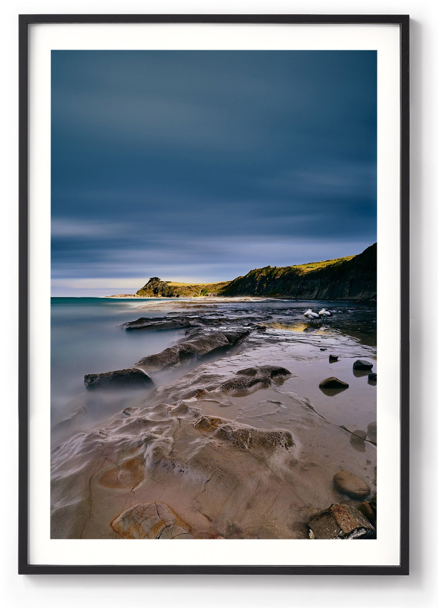 Gerringong_Pelican_Ver 835x1200_Blk.jpg