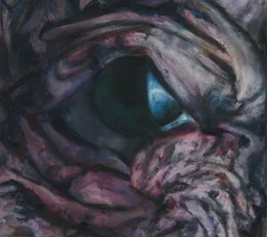 Eye