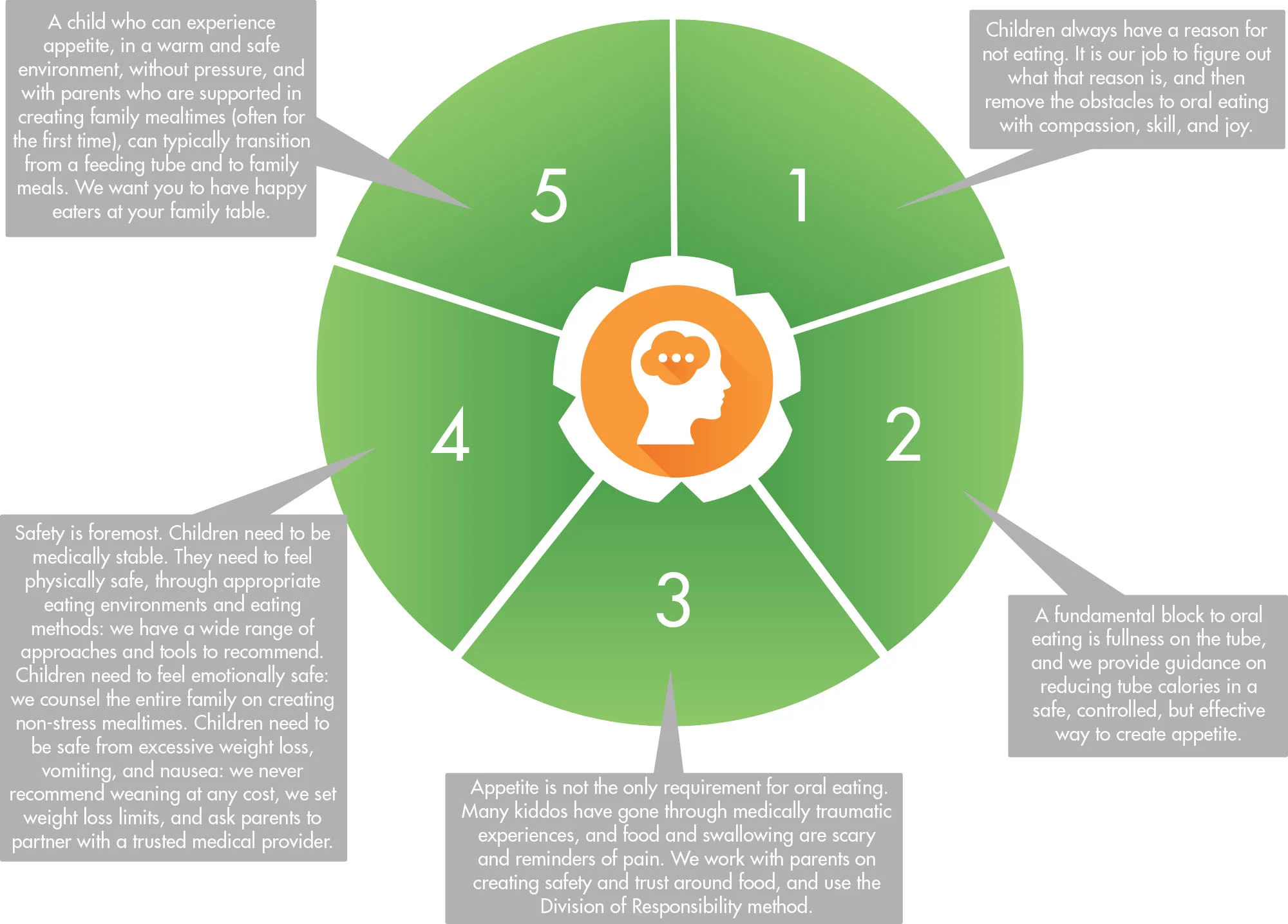 Our Process Graphic.jpg