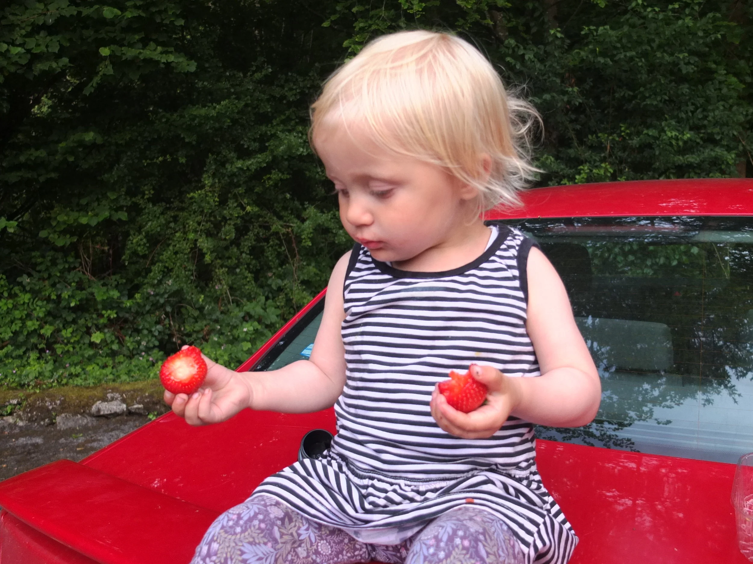 Norah weaned.jpg