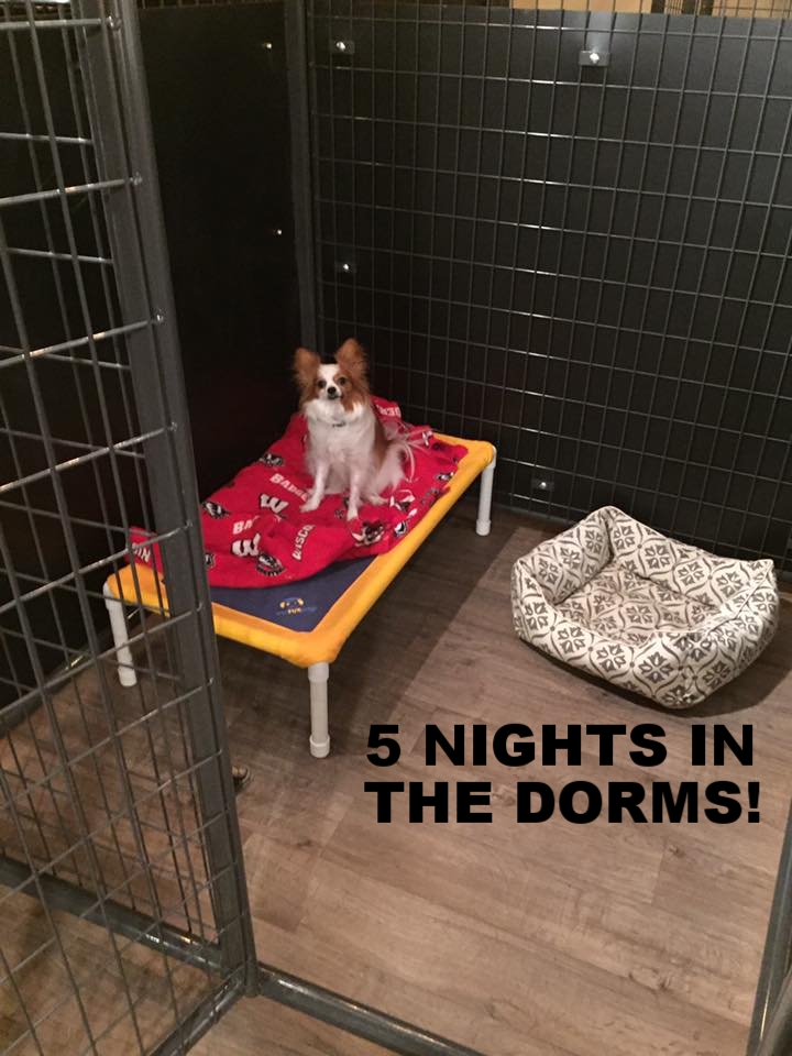 Dorm.jpeg