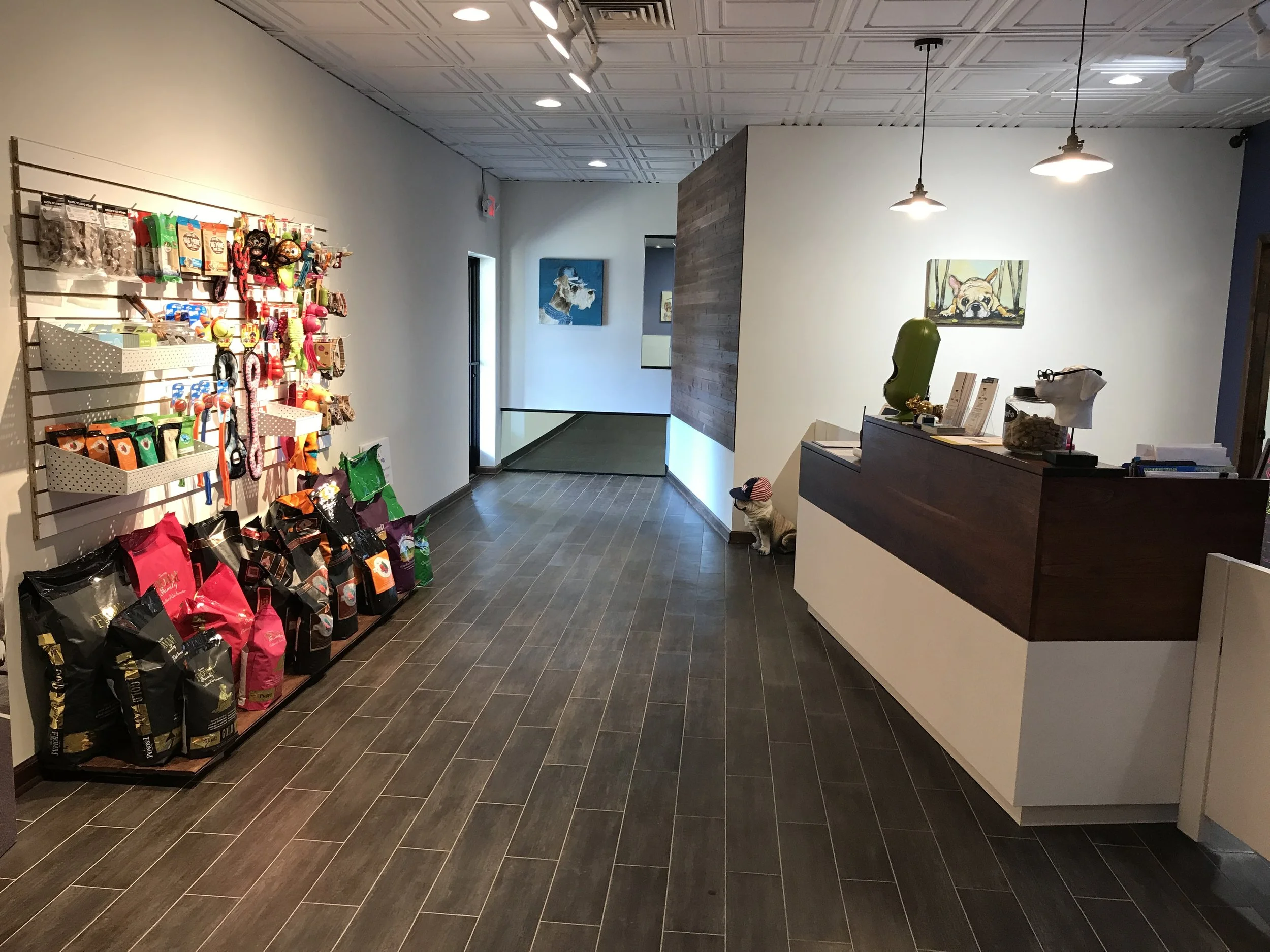 Milwaukee and Wauwatosa Dog Boarding Facility UniFURsity Club