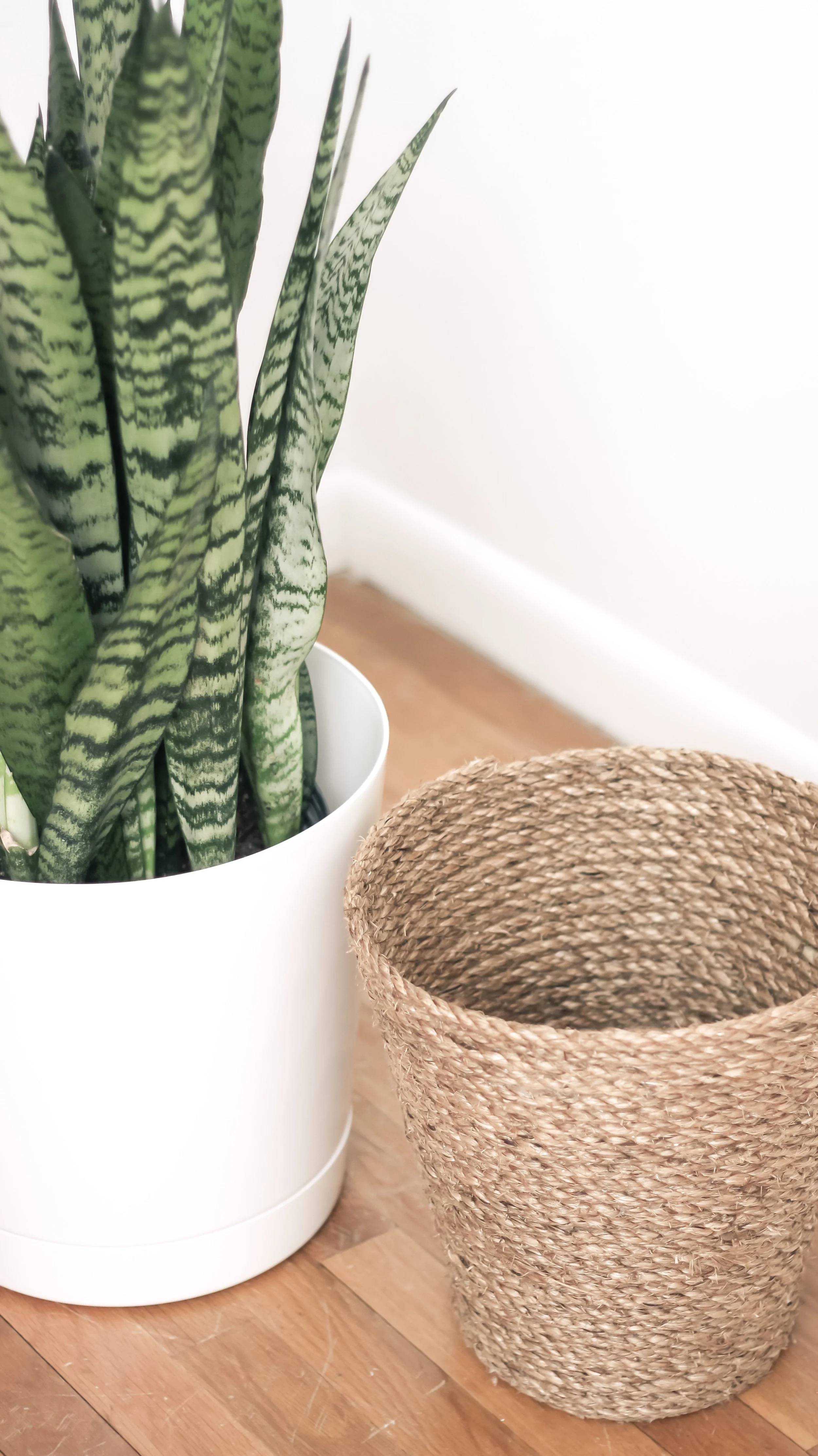 DIY Rope Basket