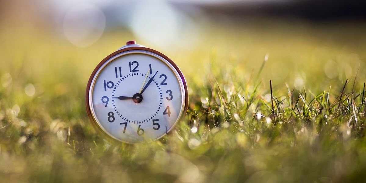 Daylight Savings Time