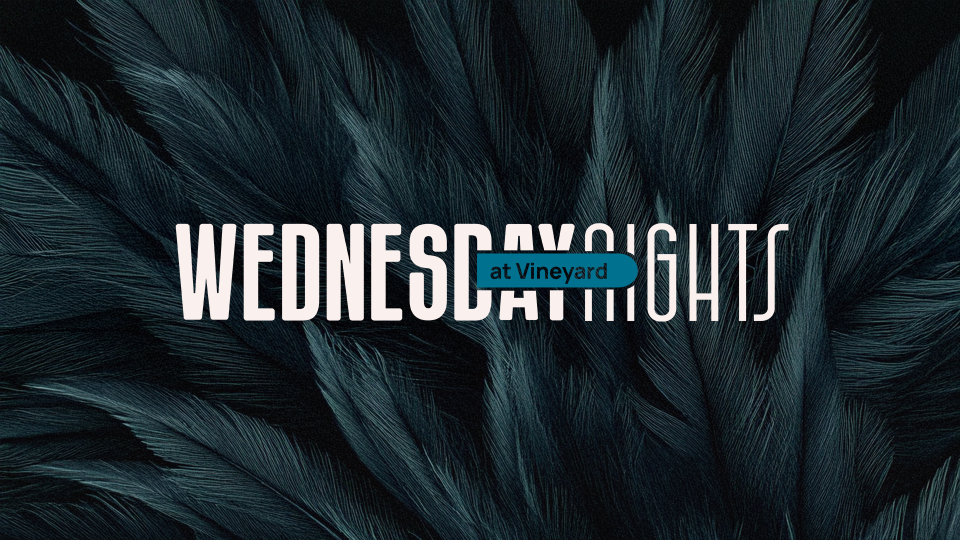 Wednesday Night Classes