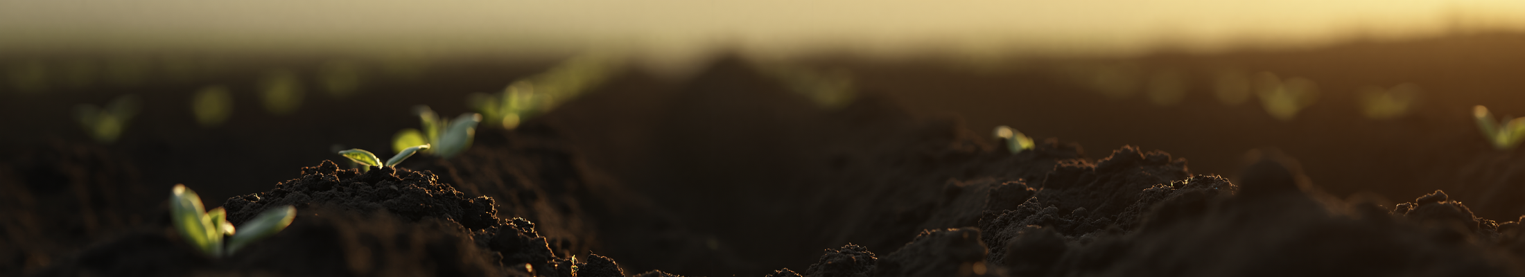 GivingPageBanner(2200x400).png