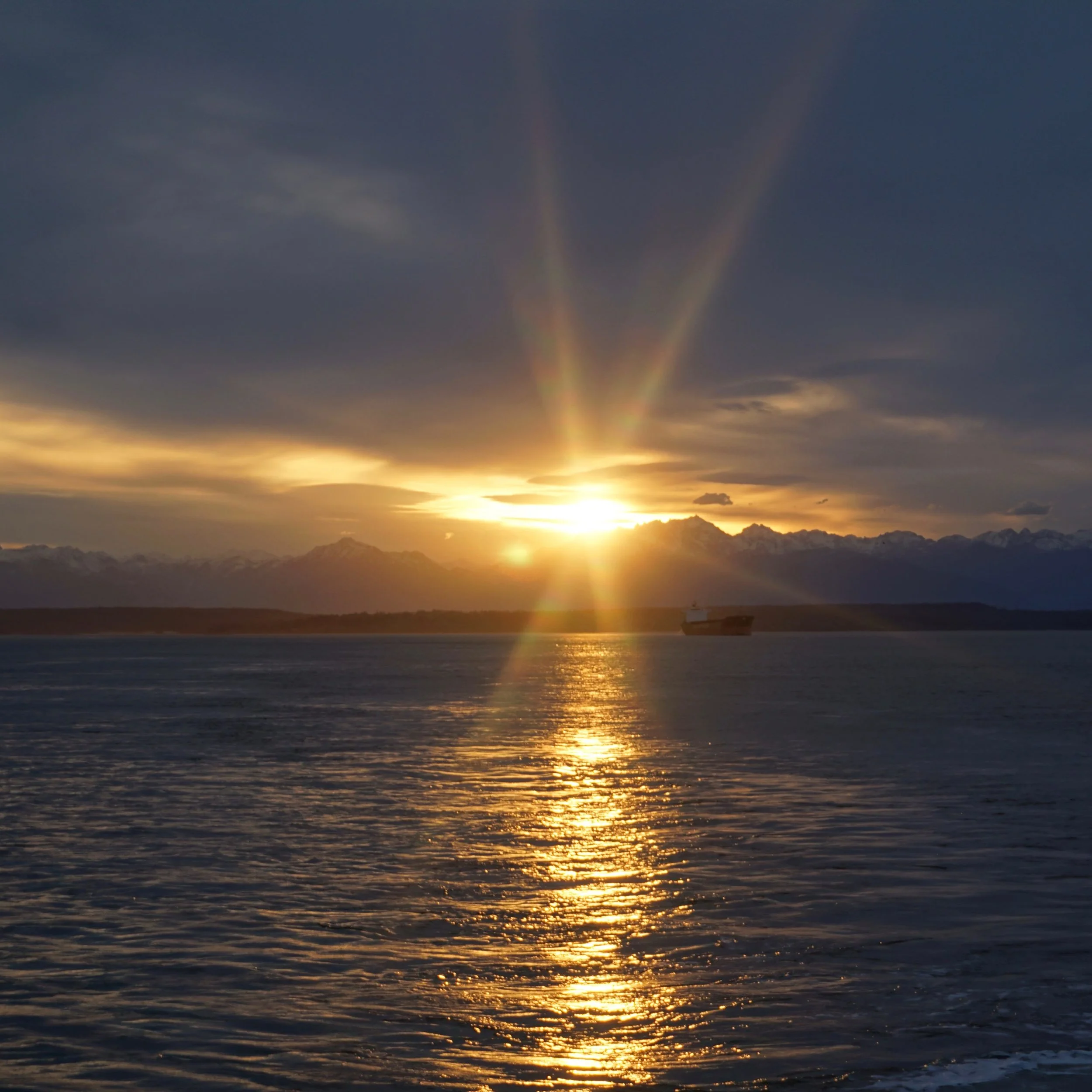 Seattle Sunsets