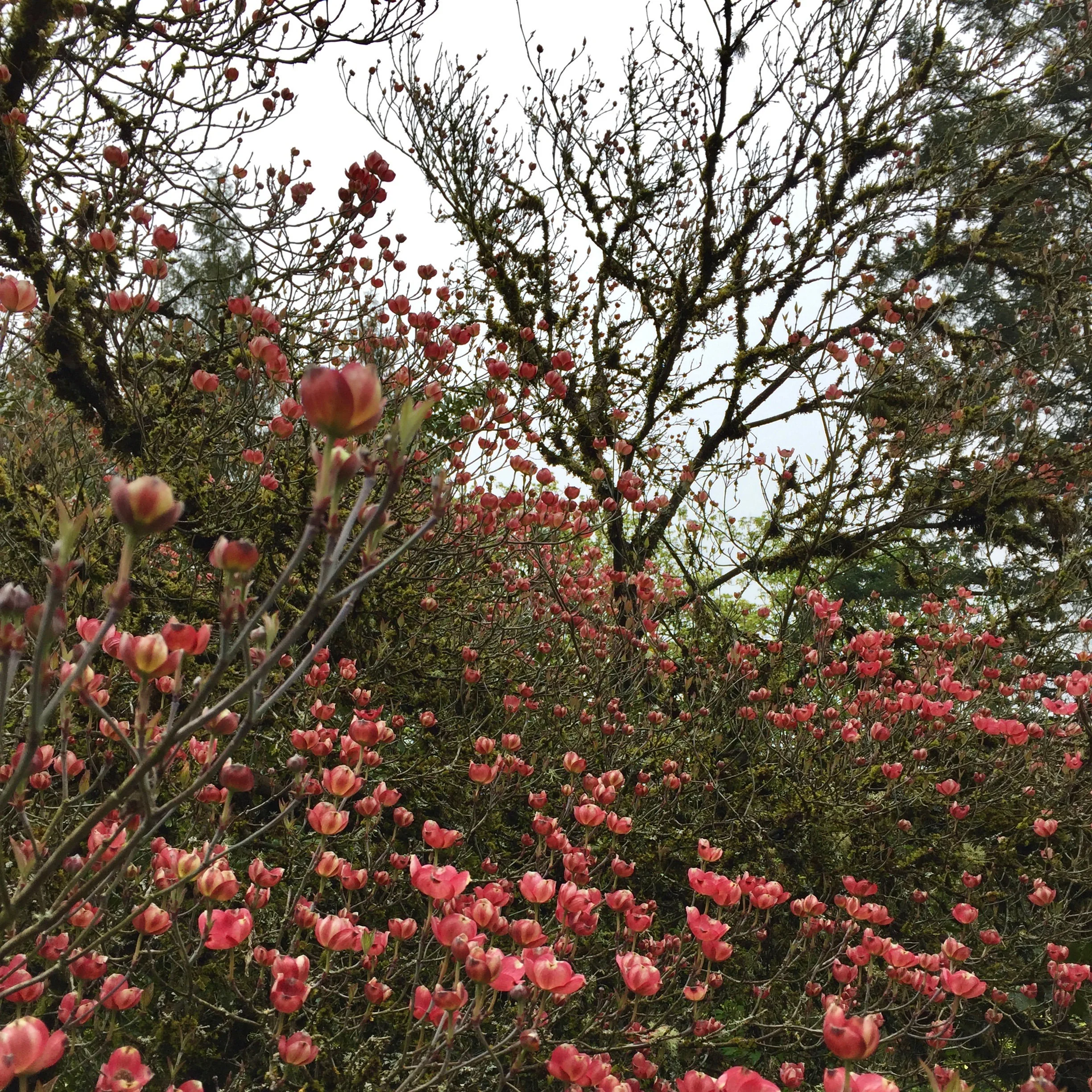 Portland, Oregon
