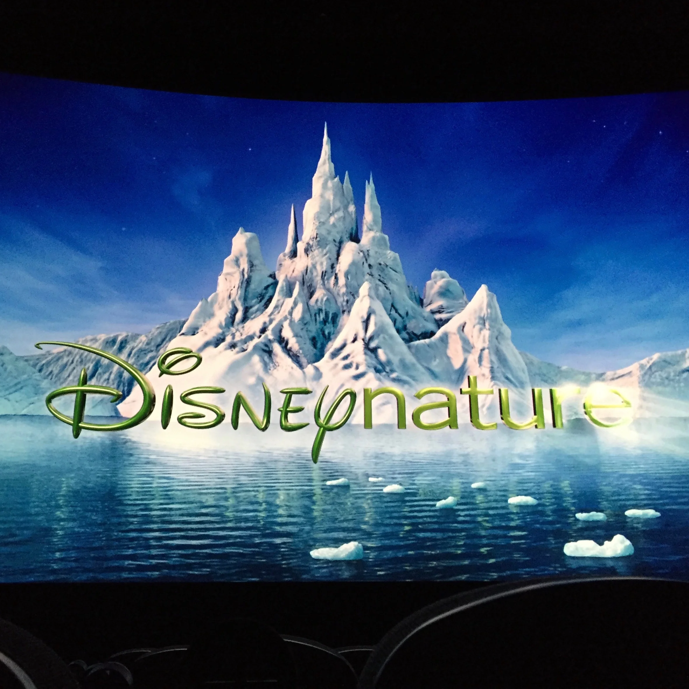 adventures - 1235.jpg