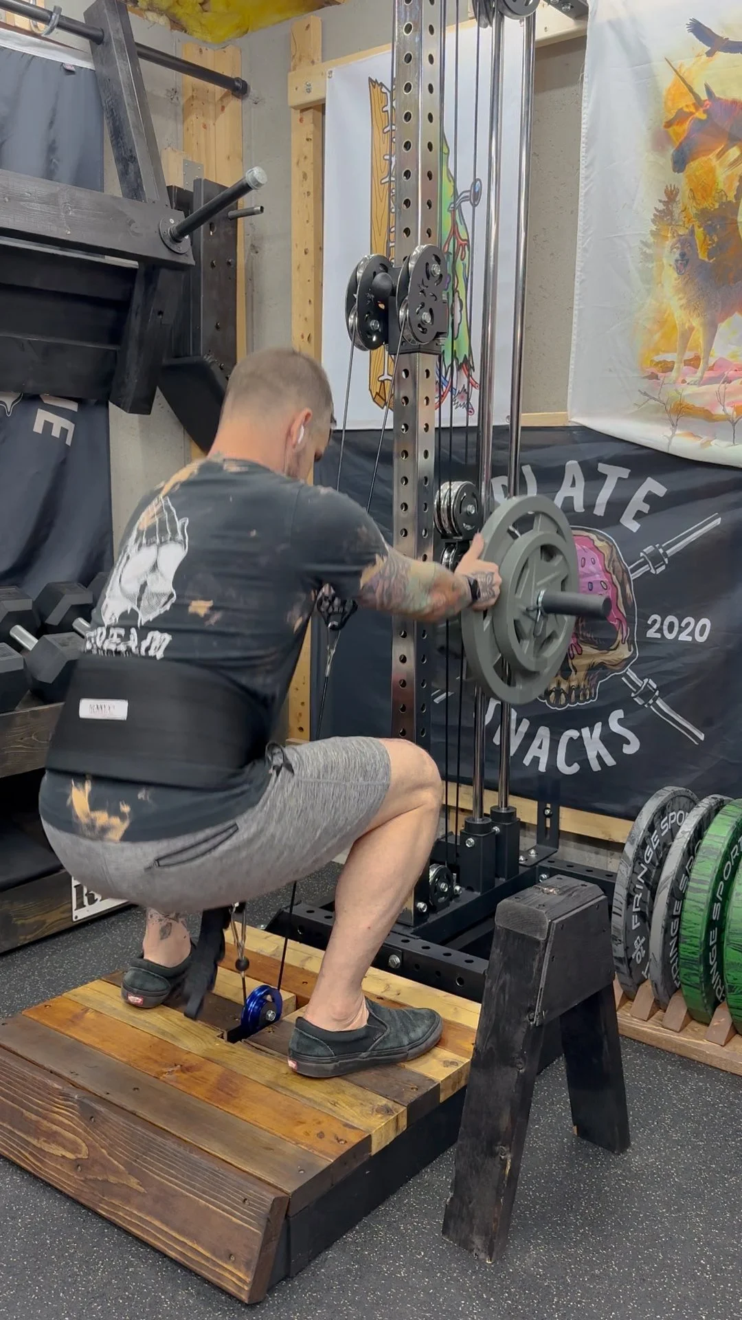 Squat Rack Diy Low Cable Pulley Belt Squat Platform Low Row