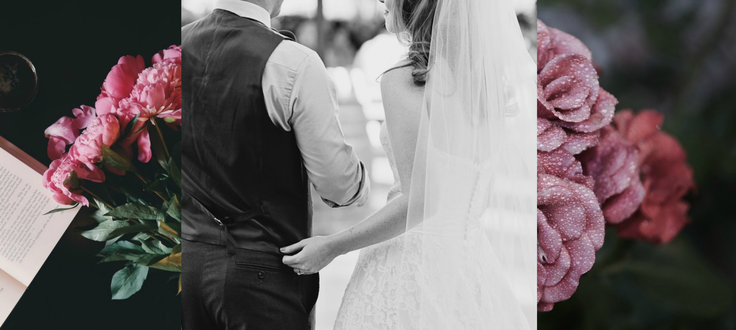 A Beautiful Blue Mountains wedding