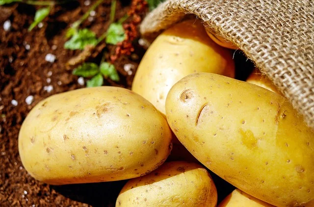 Potatoes are a starchy carbohydrate