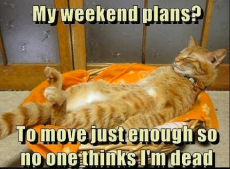 Is Weekend & Holiday Eating Killing Your Progress?