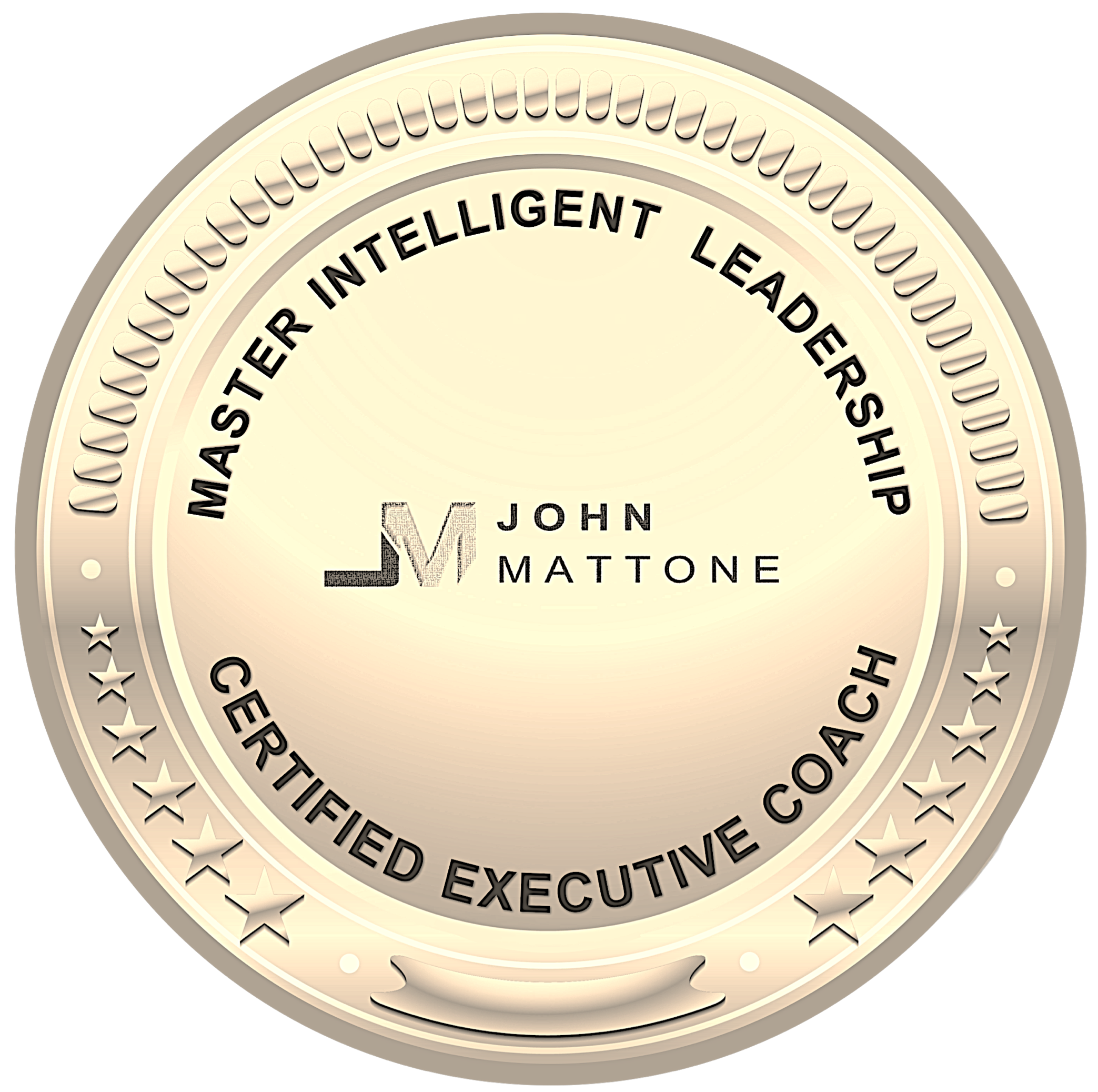 Nick Roud - #1 Master Certified Executive Coach on Intelligent Leadership in New Zealand.