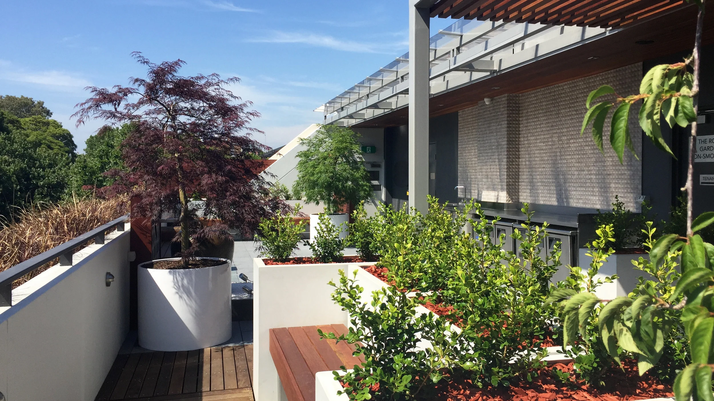 ROOFTOP GARDEN 5850.jpg