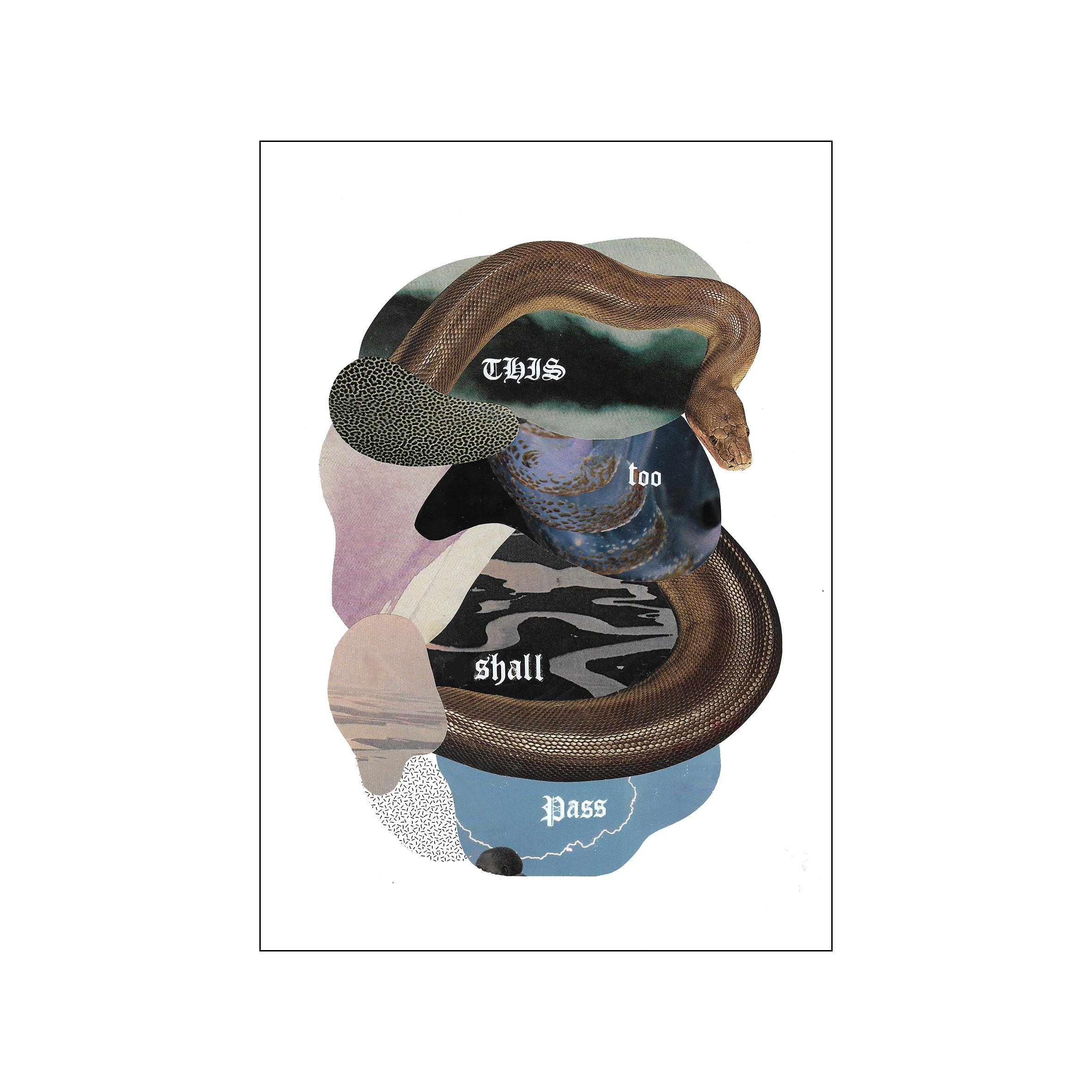 collage2square copy.jpg