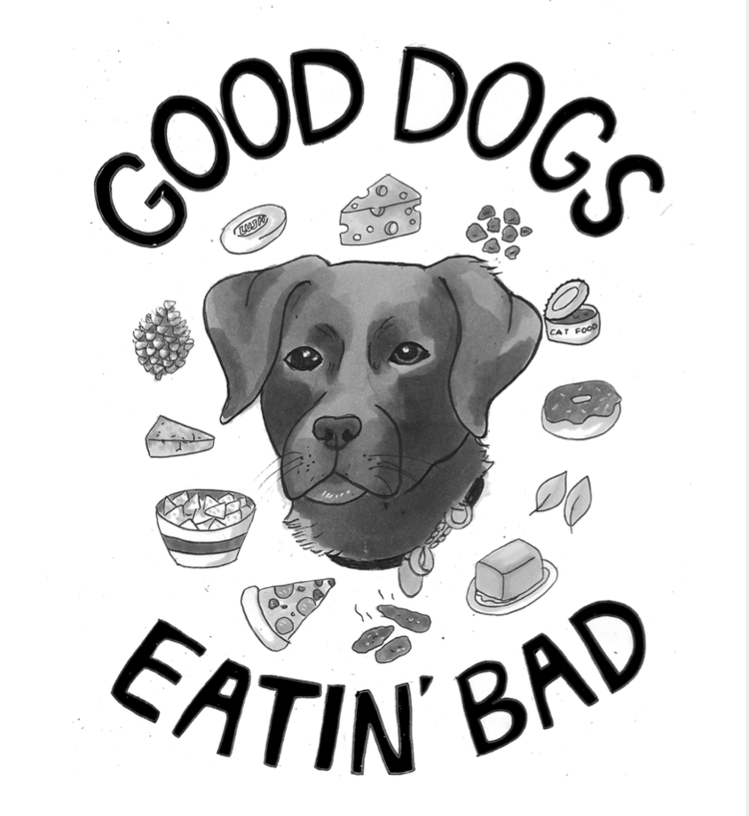 Good Dogs Eatin Bad zine 