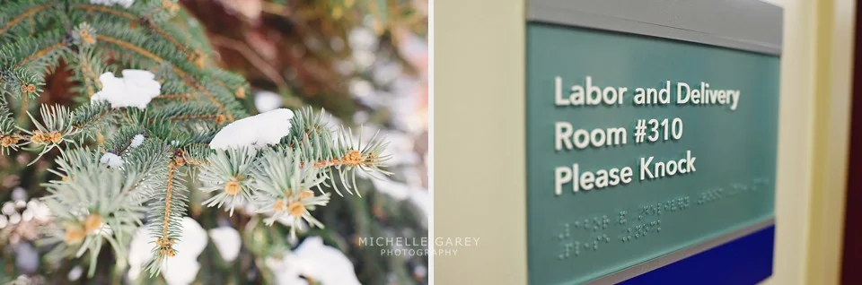 (C) 2016 Michelle Garey : Denver Birth Photographer