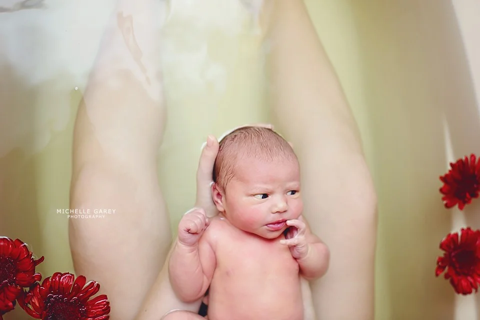 (C) 2014 Michelle Garey Photography