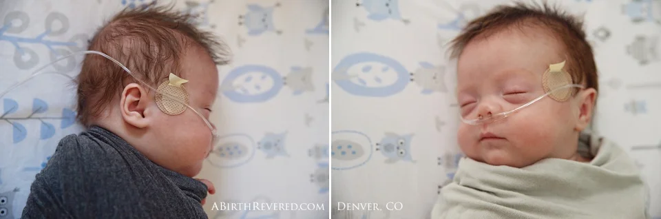 Denver-Twin-Baby-Photographer_LukeIan0036.jpg