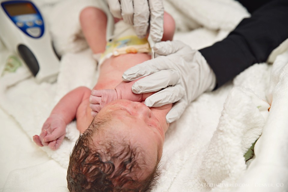 (C) 2016 Michelle Garey : Denver Birth Photographer