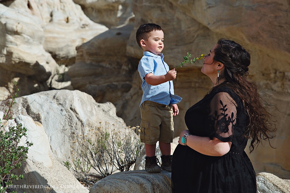 Denver_Maternity_Photos_Ira0019.jpg