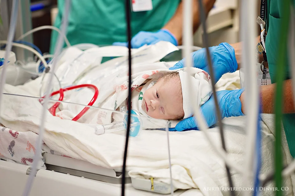 (C) 2016 Michelle Garey : Denver Birth Photographer