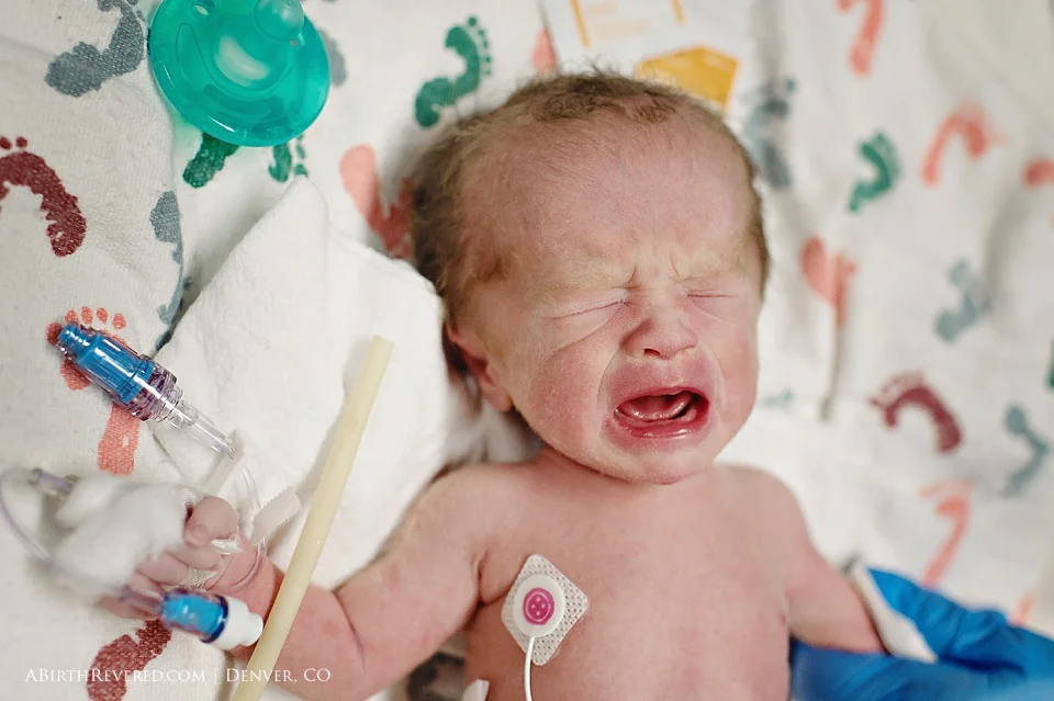 (C) 2016 Michelle Garey : Denver Birth Photographer