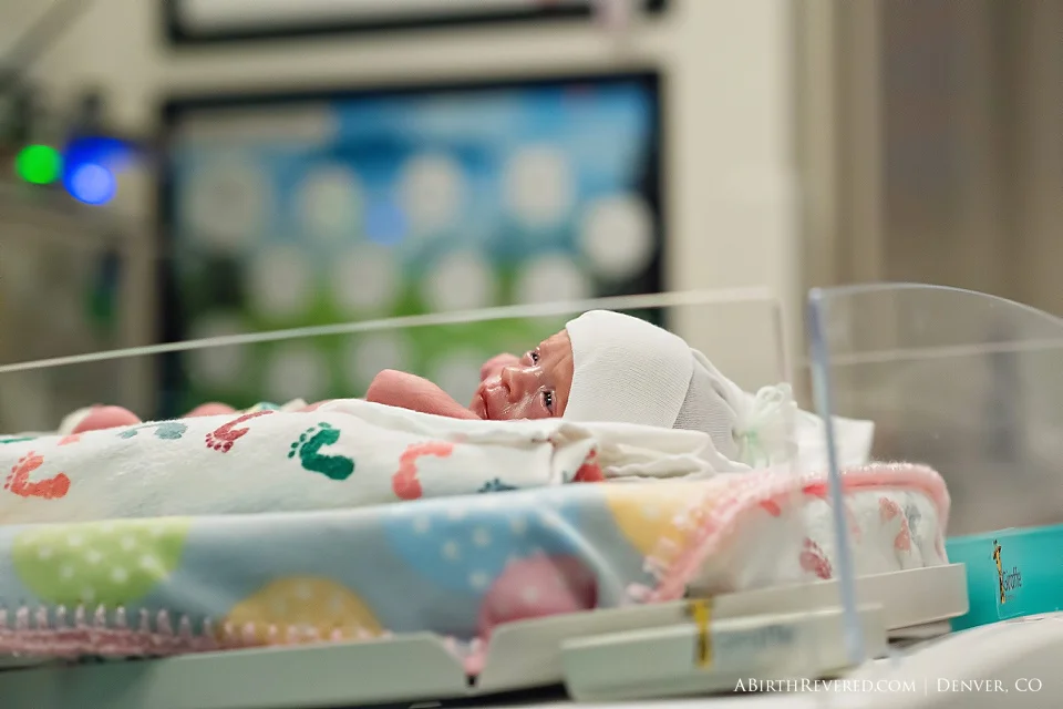 (C) 2016 Michelle Garey : Denver Birth Photographer