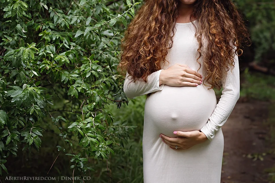 (C) 2016 Michelle Garey : Denver Birth Photographer