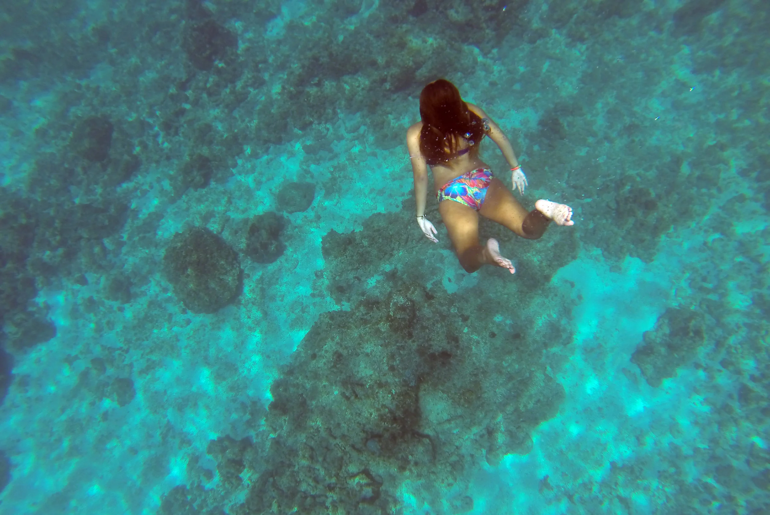 Free diving in Dahican is a wonder in itself. One can choose to dive around corals or sandy bottoms.