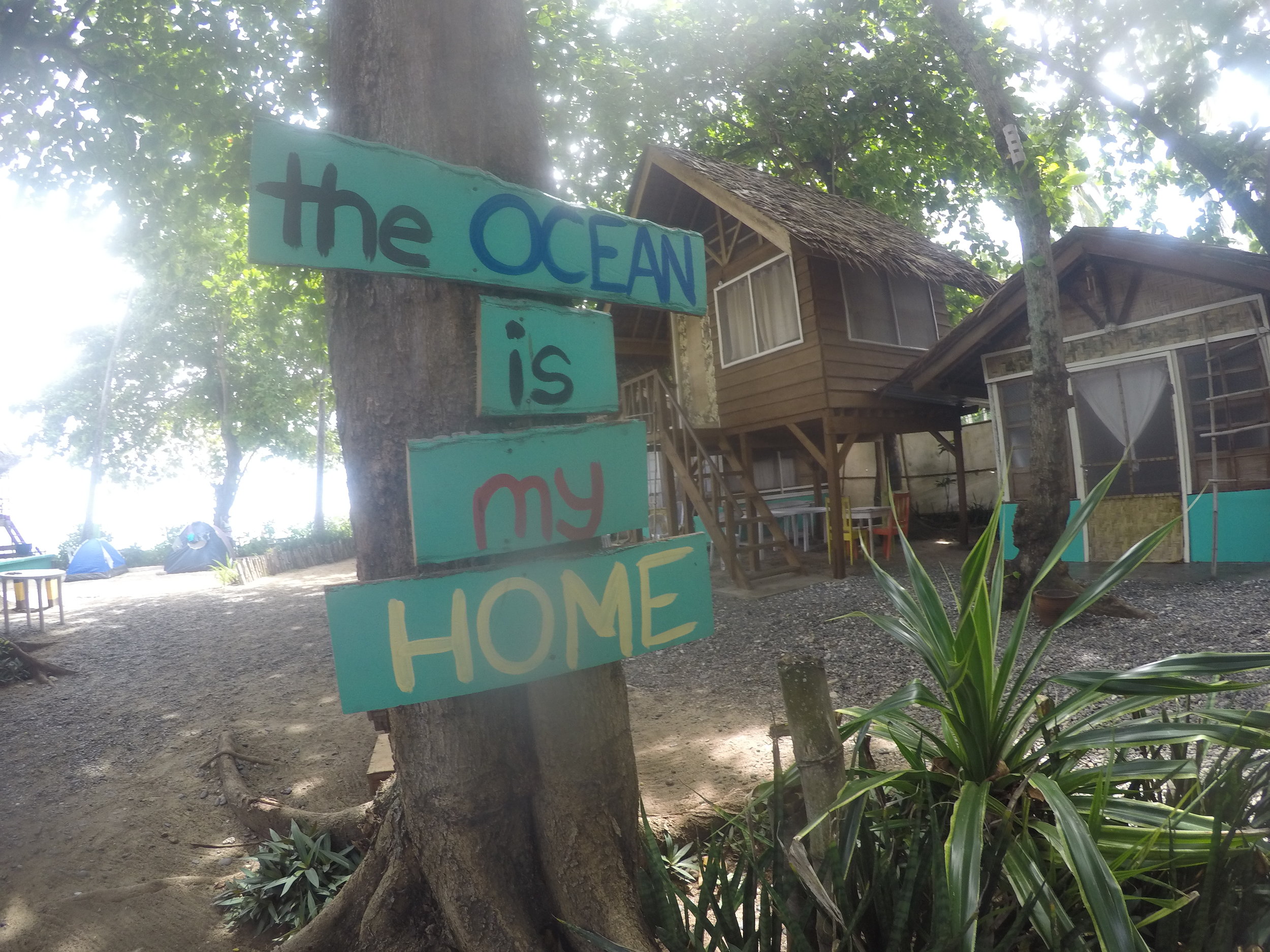 Almost every tree in DSR has a catchy phrase that echoes all our love for the ocean.