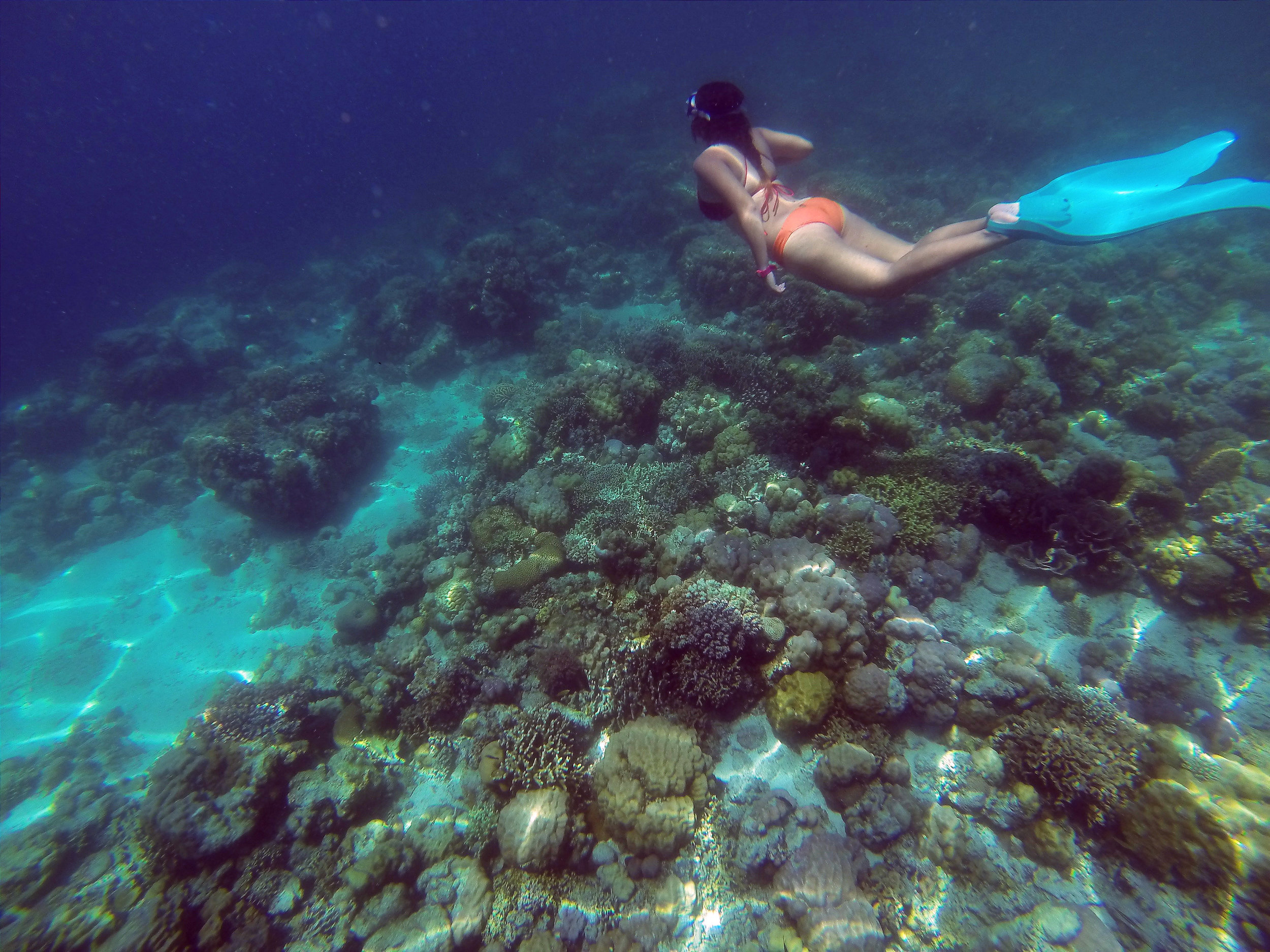 Using a monofin , now popularly known as a mermaid fin, this free diving enthusiast explores the edge of the 45 feet drop, which Mansud Wall is known for. 