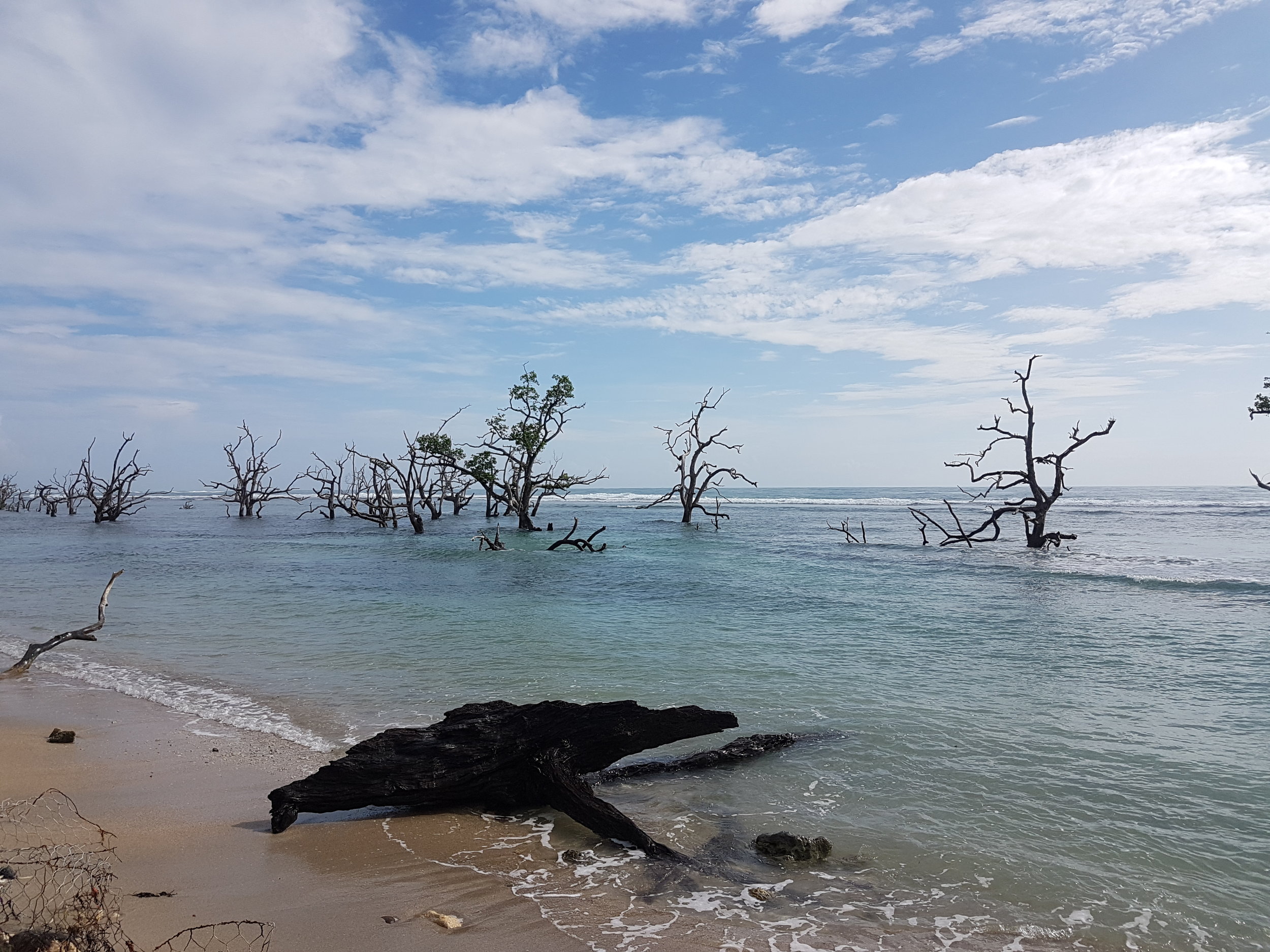 There were a lot of mangroves here. I wonder what this place might have looked like pre-typhoon Pablo. We arrived here at around noontime but I heard the views were more awesome during sunrise as the name of this place suggests.