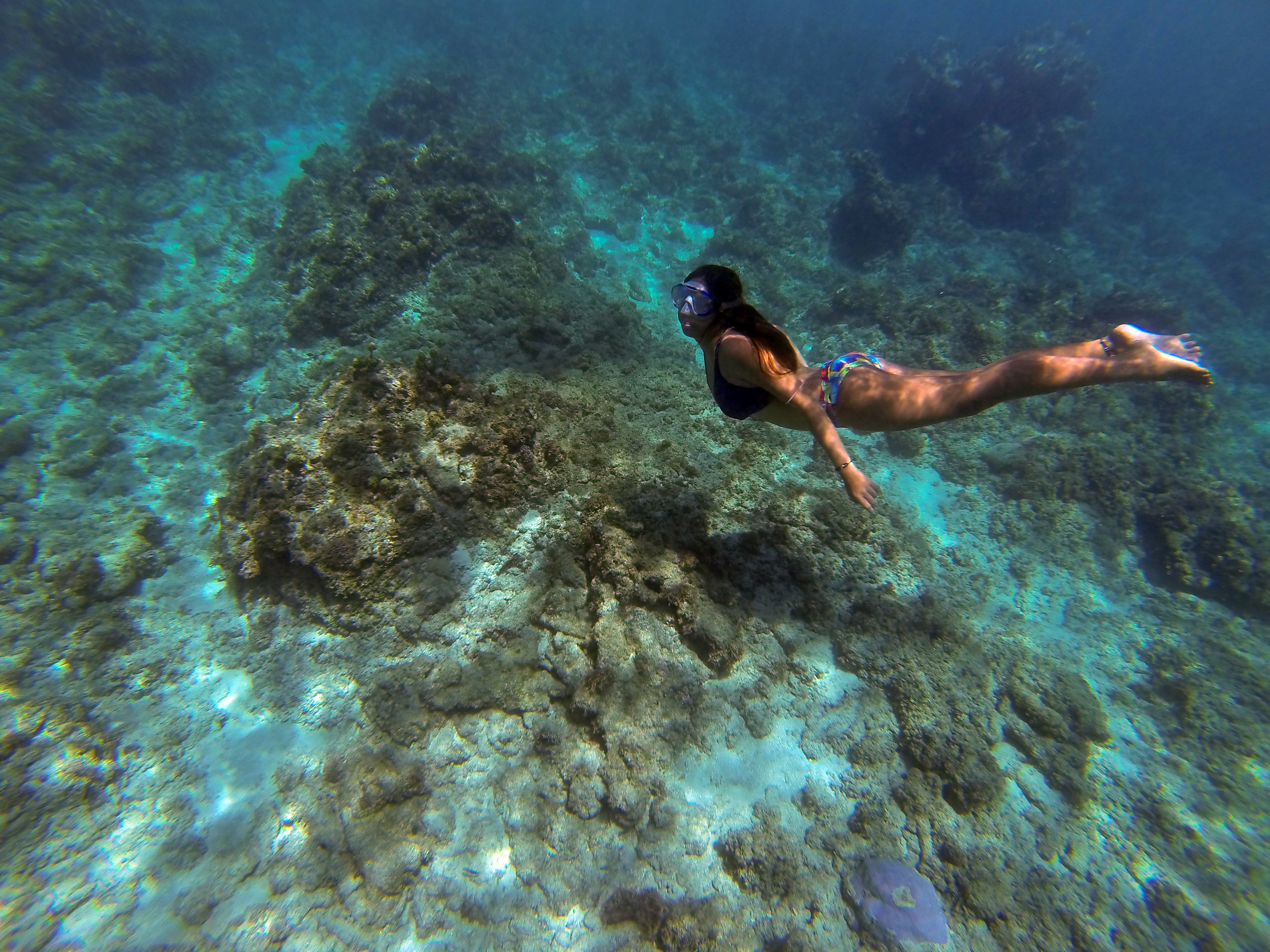 Underneath the clear blue waters of Dahican's sea are an assortment of reef and fine white sand.