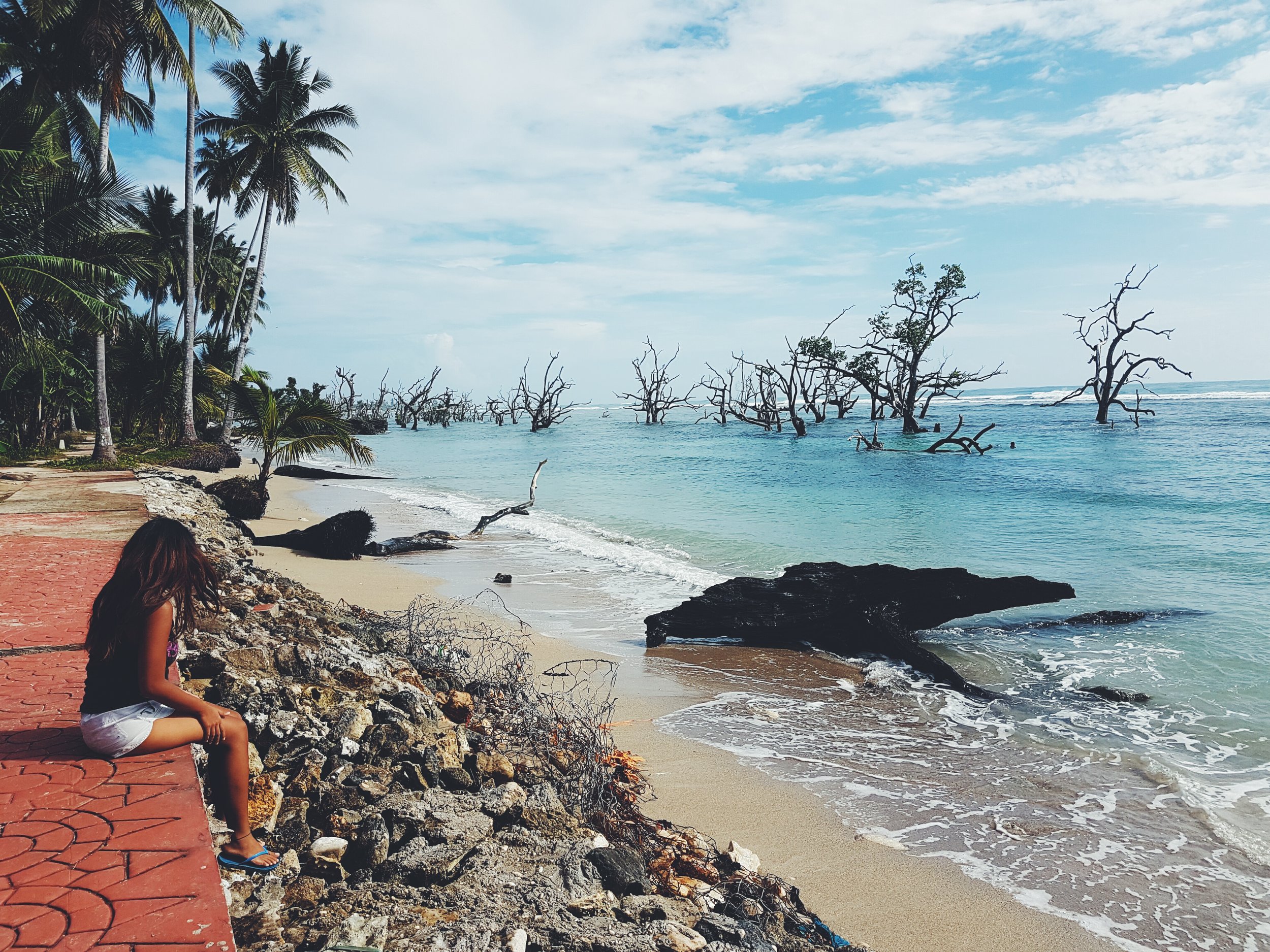 A last look at the beautiful yet eerie leafless mangrove trees at Baganga’s Sunrise Boulevard. Photo by Joven Sambade Jr.
